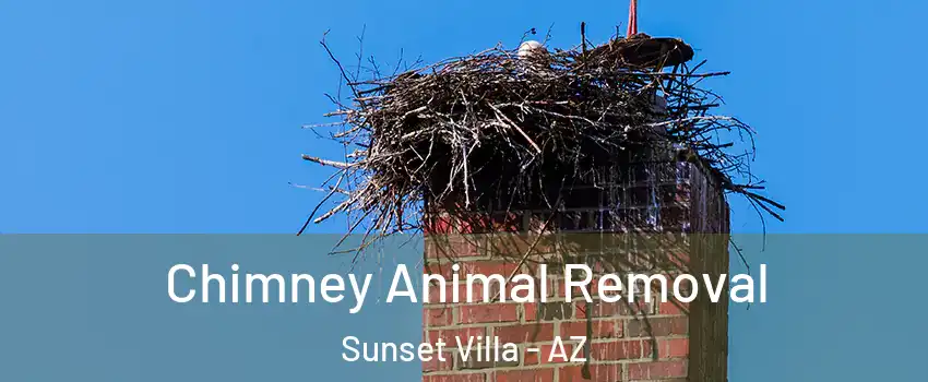 Chimney Animal Removal Sunset Villa - AZ