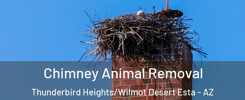 Chimney Animal Removal Thunderbird Heights/Wilmot Desert Esta - AZ