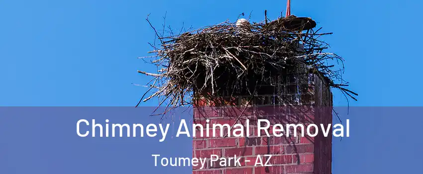 Chimney Animal Removal Toumey Park - AZ