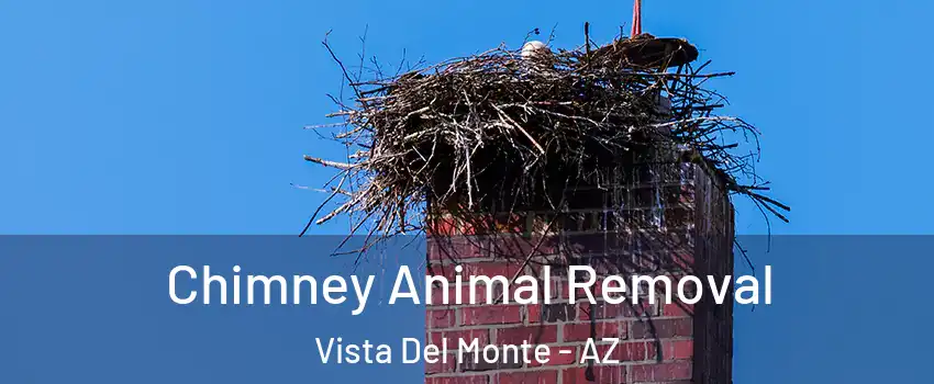Chimney Animal Removal Vista Del Monte - AZ