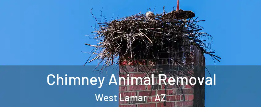Chimney Animal Removal West Lamar - AZ