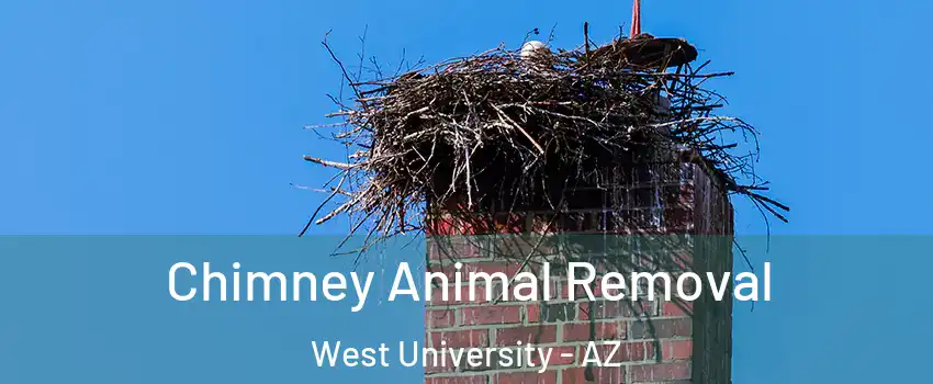Chimney Animal Removal West University - AZ