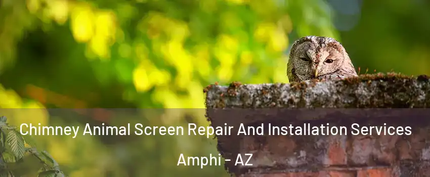 Chimney Animal Screen Repair And Installation Services Amphi - AZ