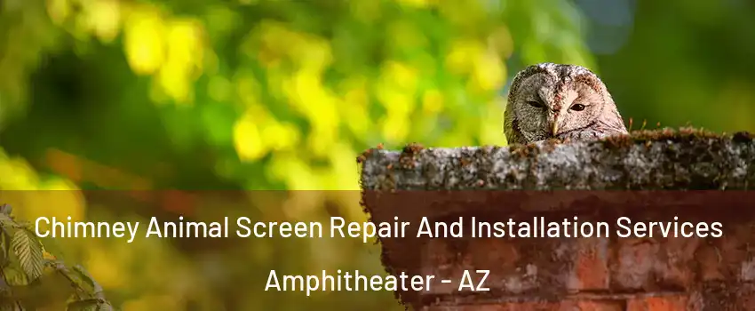 Chimney Animal Screen Repair And Installation Services Amphitheater - AZ