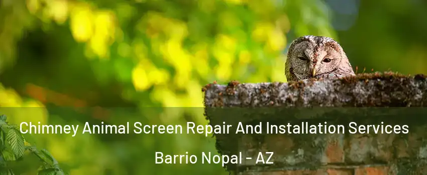 Chimney Animal Screen Repair And Installation Services Barrio Nopal - AZ