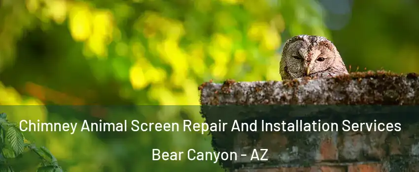 Chimney Animal Screen Repair And Installation Services Bear Canyon - AZ