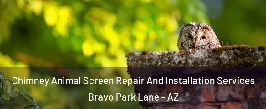 Chimney Animal Screen Repair And Installation Services Bravo Park Lane - AZ