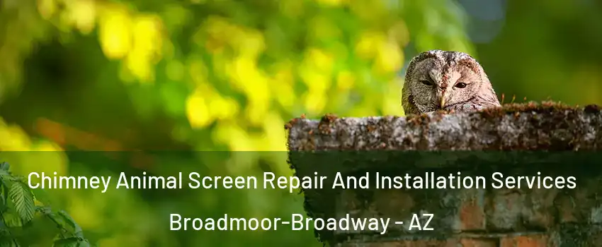 Chimney Animal Screen Repair And Installation Services Broadmoor-Broadway - AZ