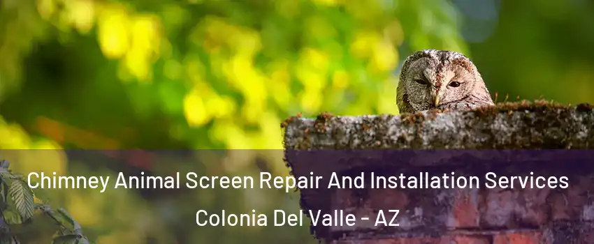 Chimney Animal Screen Repair And Installation Services Colonia Del Valle - AZ