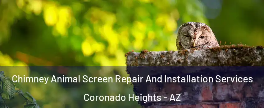 Chimney Animal Screen Repair And Installation Services Coronado Heights - AZ