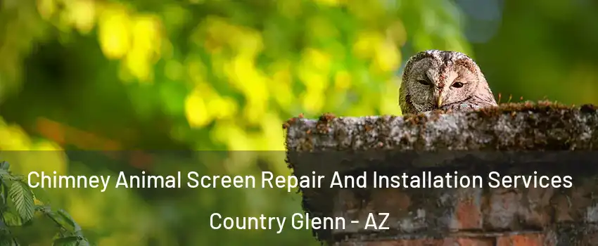 Chimney Animal Screen Repair And Installation Services Country Glenn - AZ