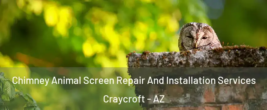 Chimney Animal Screen Repair And Installation Services Craycroft - AZ