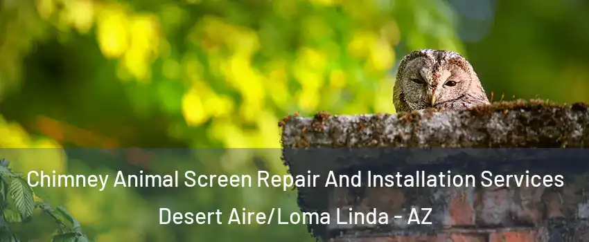 Chimney Animal Screen Repair And Installation Services Desert Aire/Loma Linda - AZ