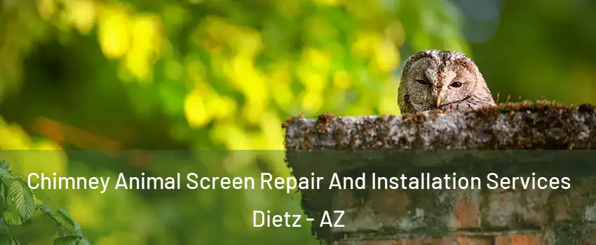 Chimney Animal Screen Repair And Installation Services Dietz - AZ