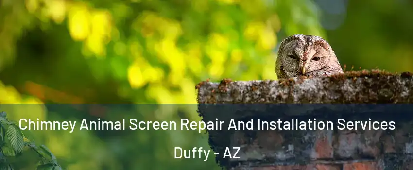 Chimney Animal Screen Repair And Installation Services Duffy - AZ