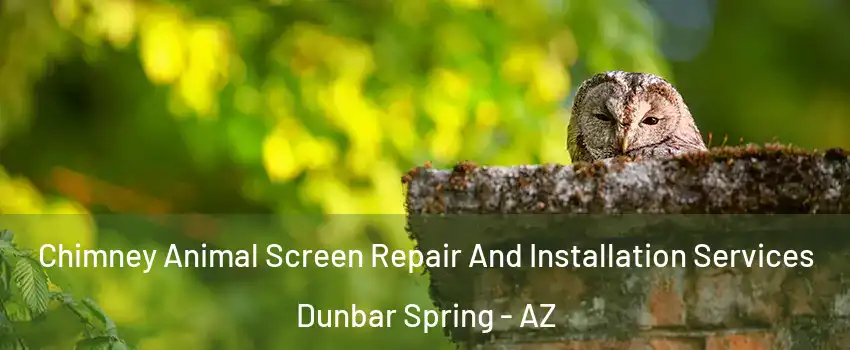 Chimney Animal Screen Repair And Installation Services Dunbar Spring - AZ