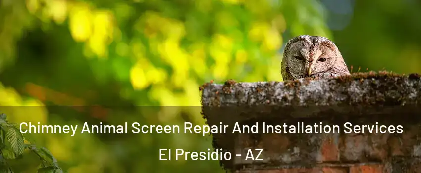 Chimney Animal Screen Repair And Installation Services El Presidio - AZ
