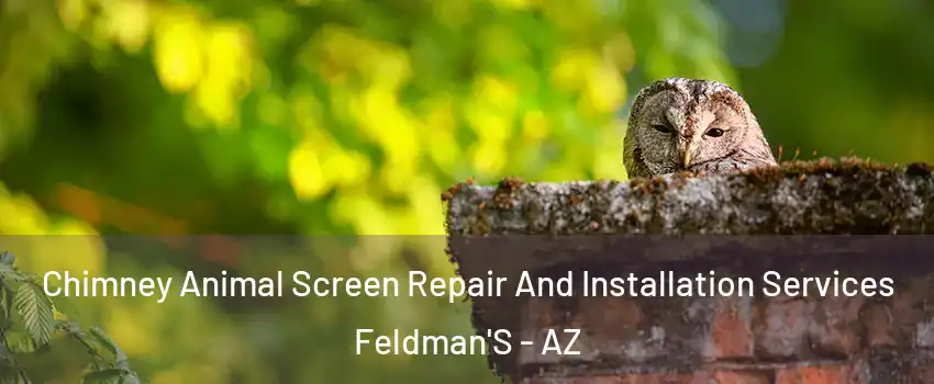 Chimney Animal Screen Repair And Installation Services Feldman'S - AZ