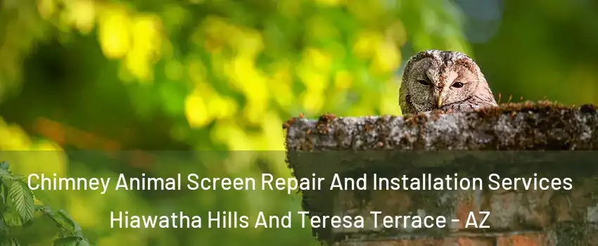 Chimney Animal Screen Repair And Installation Services Hiawatha Hills And Teresa Terrace - AZ