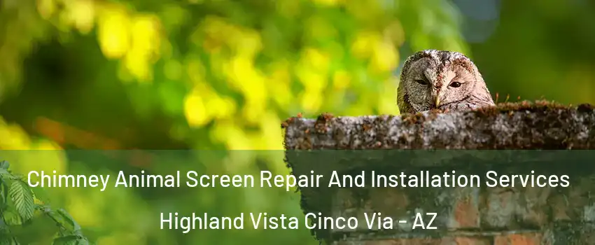 Chimney Animal Screen Repair And Installation Services Highland Vista Cinco Via - AZ