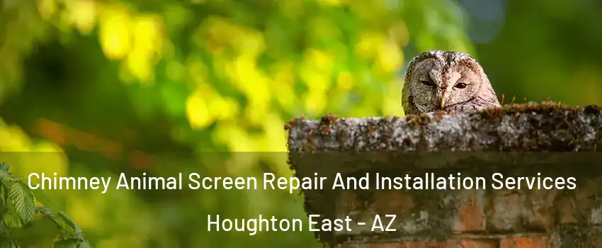 Chimney Animal Screen Repair And Installation Services Houghton East - AZ