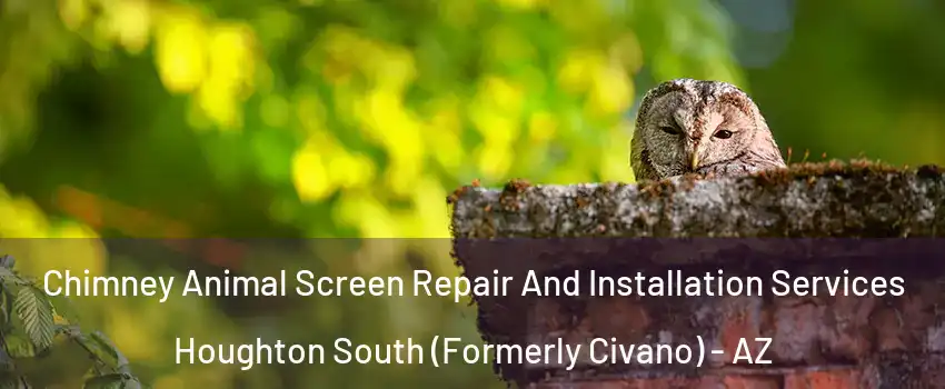 Chimney Animal Screen Repair And Installation Services Houghton South (Formerly Civano) - AZ