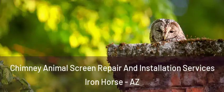 Chimney Animal Screen Repair And Installation Services Iron Horse - AZ