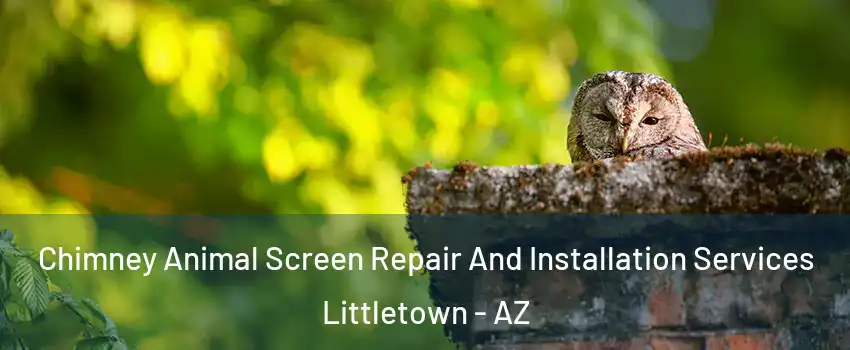 Chimney Animal Screen Repair And Installation Services Littletown - AZ