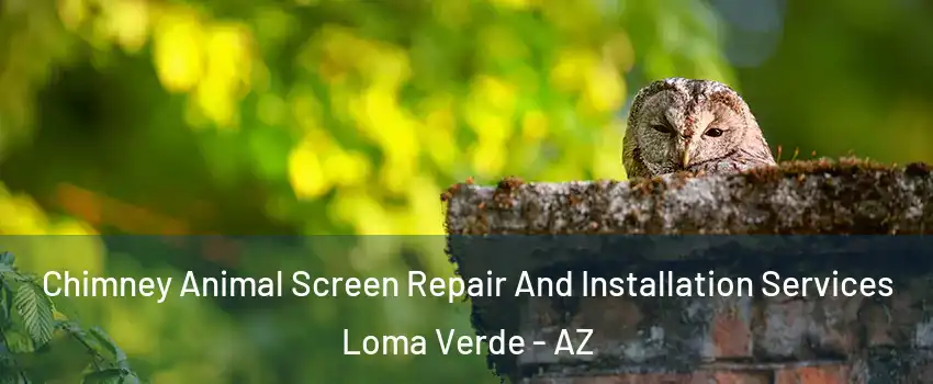 Chimney Animal Screen Repair And Installation Services Loma Verde - AZ