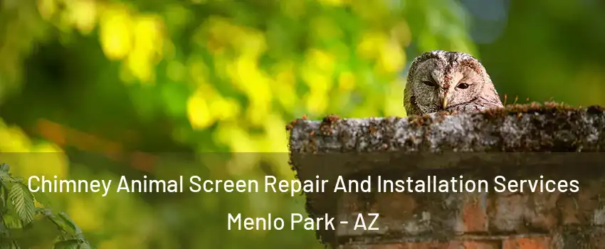Chimney Animal Screen Repair And Installation Services Menlo Park - AZ