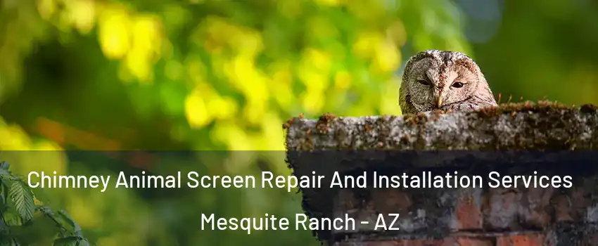 Chimney Animal Screen Repair And Installation Services Mesquite Ranch - AZ