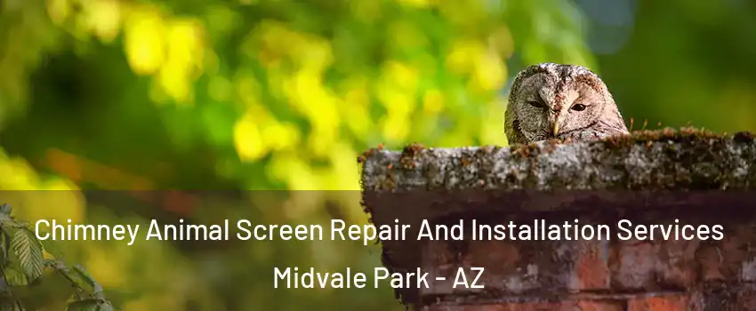 Chimney Animal Screen Repair And Installation Services Midvale Park - AZ
