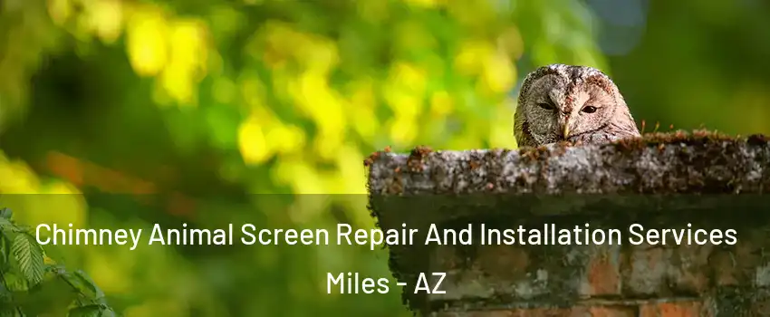 Chimney Animal Screen Repair And Installation Services Miles - AZ