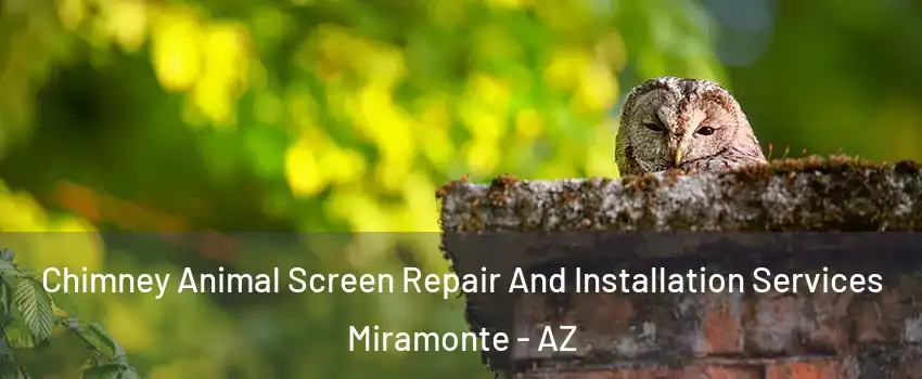 Chimney Animal Screen Repair And Installation Services Miramonte - AZ