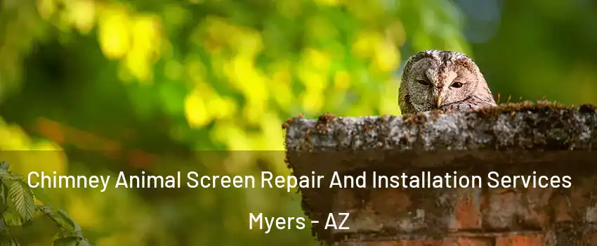 Chimney Animal Screen Repair And Installation Services Myers - AZ