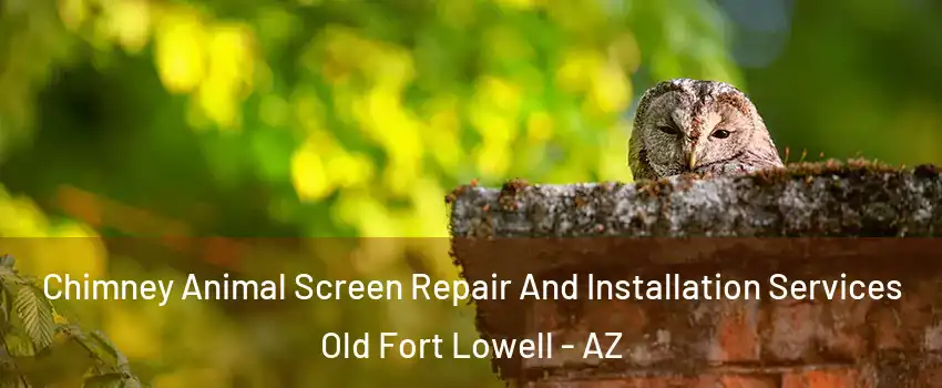 Chimney Animal Screen Repair And Installation Services Old Fort Lowell - AZ