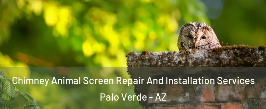 Chimney Animal Screen Repair And Installation Services Palo Verde - AZ