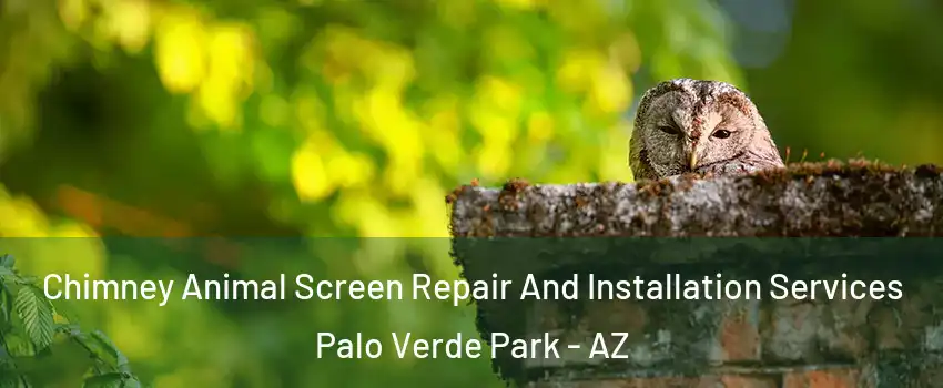 Chimney Animal Screen Repair And Installation Services Palo Verde Park - AZ