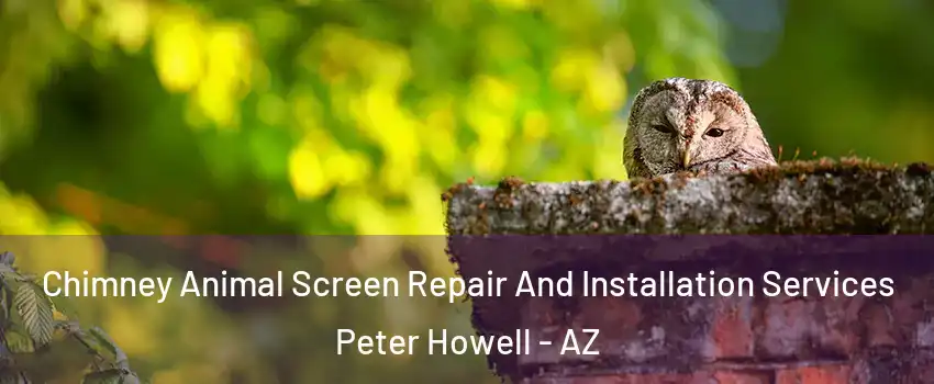 Chimney Animal Screen Repair And Installation Services Peter Howell - AZ
