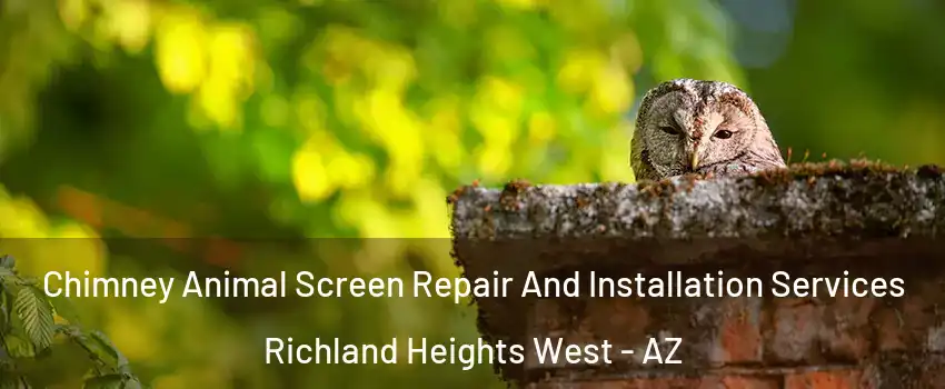 Chimney Animal Screen Repair And Installation Services Richland Heights West - AZ