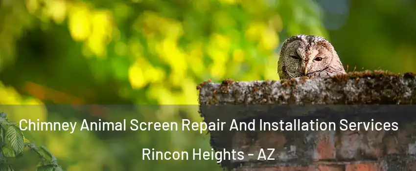Chimney Animal Screen Repair And Installation Services Rincon Heights - AZ