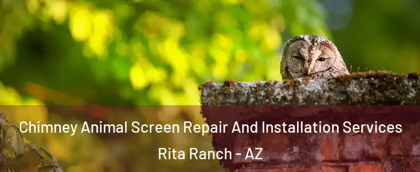Chimney Animal Screen Repair And Installation Services Rita Ranch - AZ