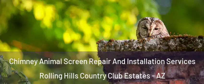 Chimney Animal Screen Repair And Installation Services Rolling Hills Country Club Estates - AZ