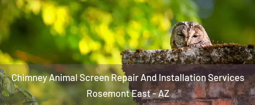 Chimney Animal Screen Repair And Installation Services Rosemont East - AZ