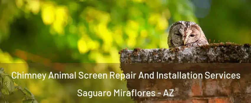 Chimney Animal Screen Repair And Installation Services Saguaro Miraflores - AZ