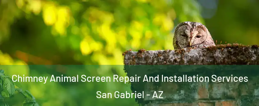 Chimney Animal Screen Repair And Installation Services San Gabriel - AZ