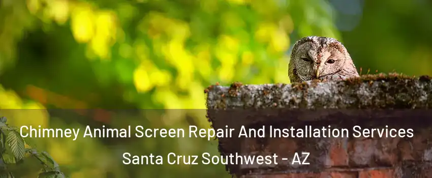 Chimney Animal Screen Repair And Installation Services Santa Cruz Southwest - AZ