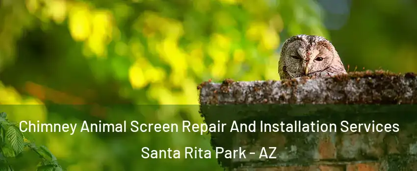 Chimney Animal Screen Repair And Installation Services Santa Rita Park - AZ