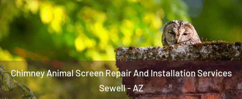 Chimney Animal Screen Repair And Installation Services Sewell - AZ