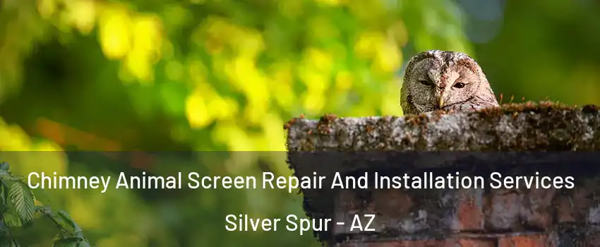 Chimney Animal Screen Repair And Installation Services Silver Spur - AZ